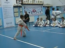 video karate kyokushin