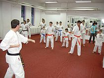 karate sibiu
