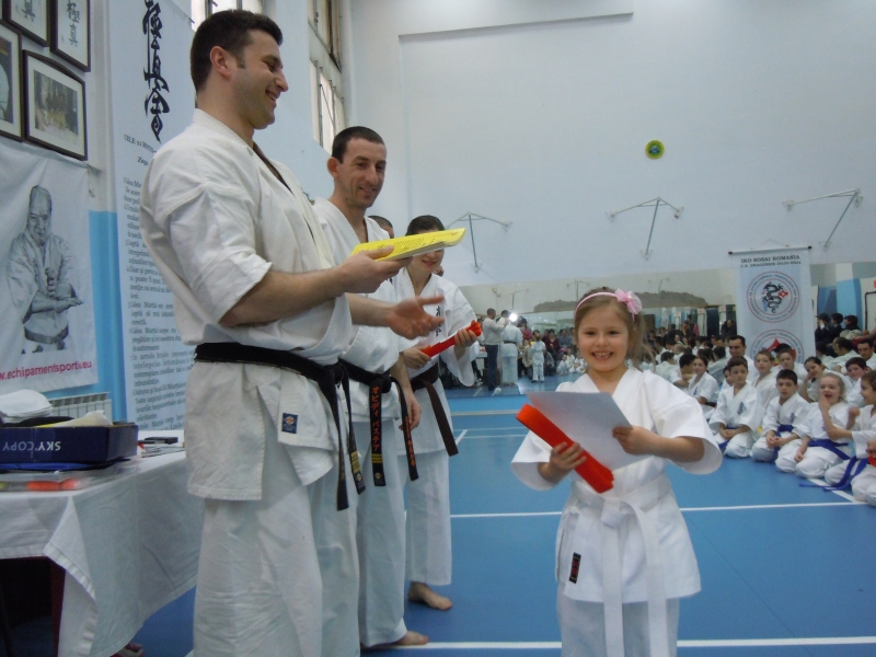 semiminar examen karate sibiu