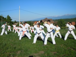 video antrenament karate kyokushin