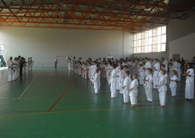 Seminar de vara Karate Kyokushin 2009