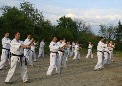 Stagiu Karate Kyokushin Cisnadioara 2009
