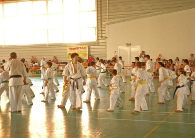 Seminar international Karate Kyokushin