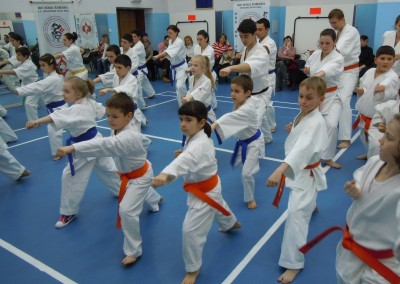 Seminar si examen Karate, Sibiu, 2013