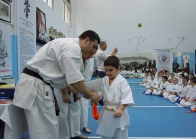 Seminar si examen Karate, Sibiu, 2013