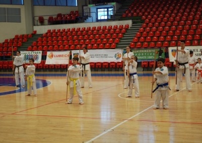 Demonstratie Karate la “Handball Meets Sibiu”