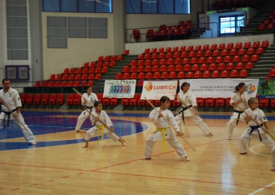 Demonstratie Karate la “Handball Meets Sibiu”