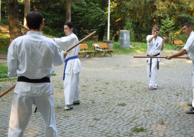 Antrenament Bo in parc, Sibiu, 2013