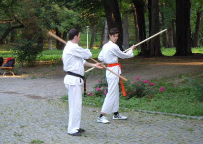 Antrenament Bo in parc, Sibiu, 2013