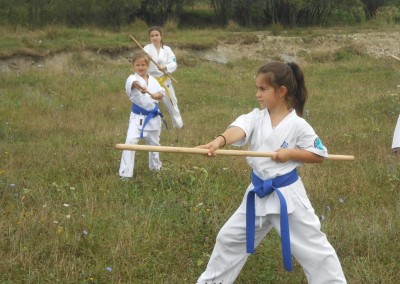 Antrenament Karate Bo