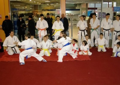 Demonstratie Karate in Carrefour