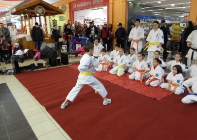 Demonstratie Karate in Carrefour